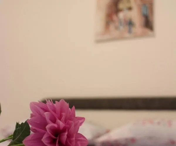 Anja Apartment Trebinje